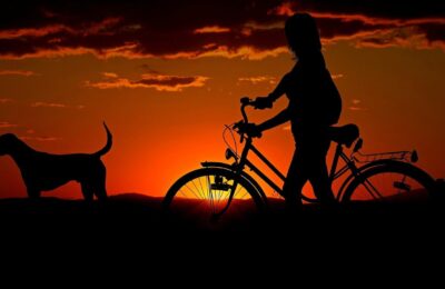 10-beneficios-de-ter-animais-de-estimacao-1
