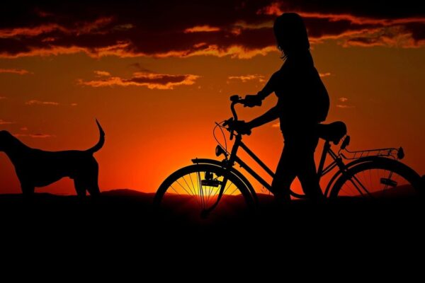10-beneficios-de-ter-animais-de-estimacao-1