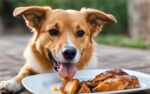 cachorro pode comer frango