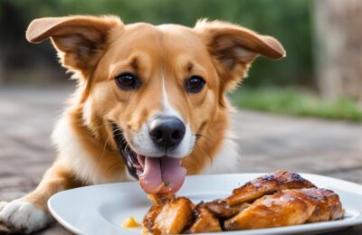 cachorro pode comer frango