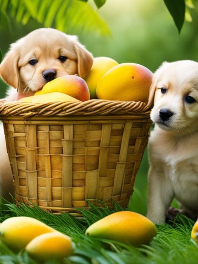 cachorros podem comer manga