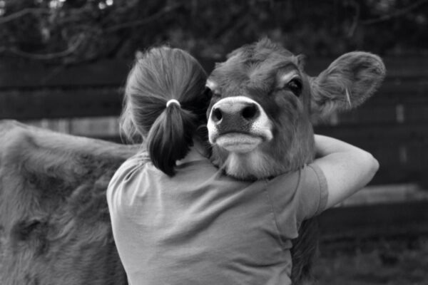 Animais de Apoio Emocional