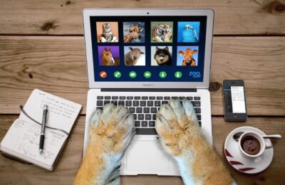 Cuidados com os Animais