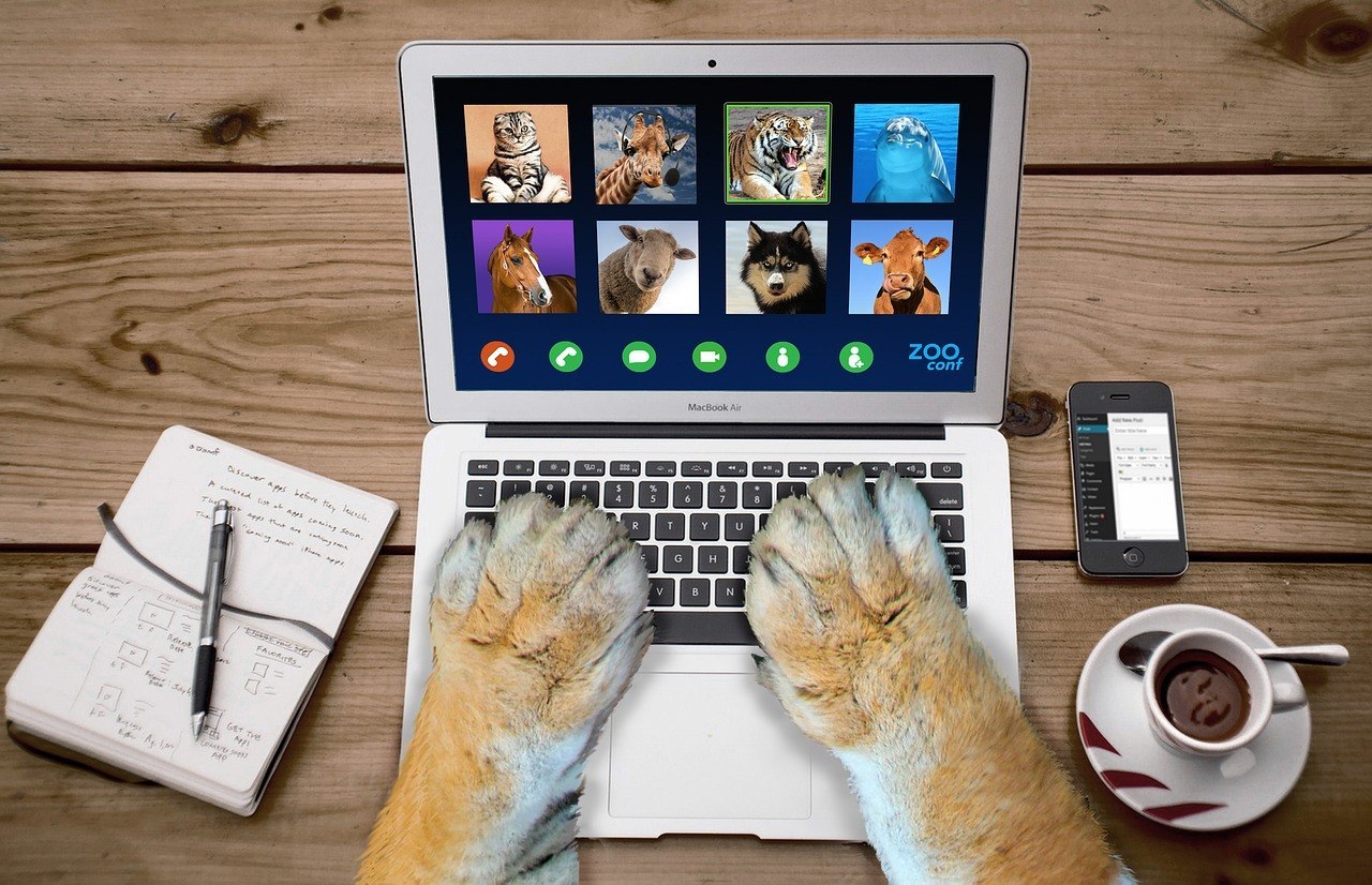 Cuidados com os Animais