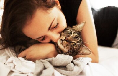 Gatos Envelhecem como os Humanos