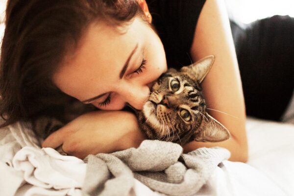 Gatos Envelhecem como os Humanos