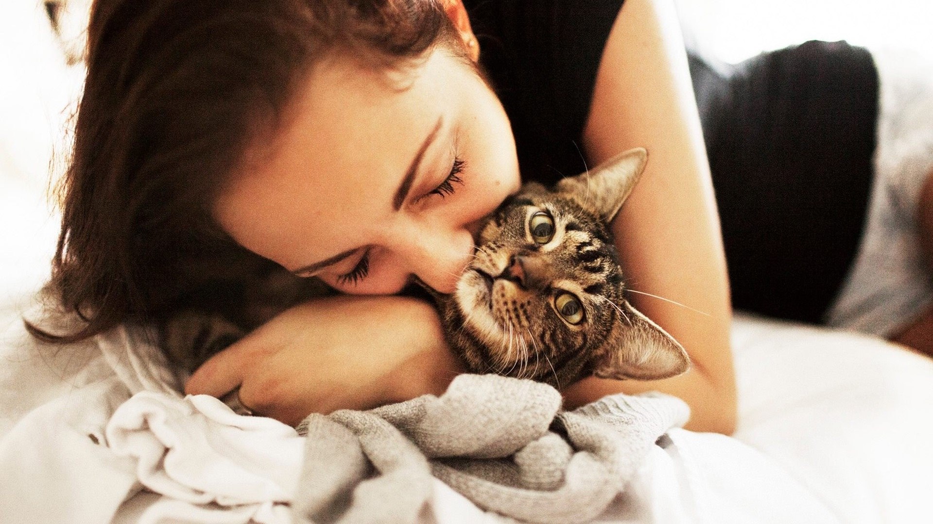 Gatos Envelhecem como os Humanos