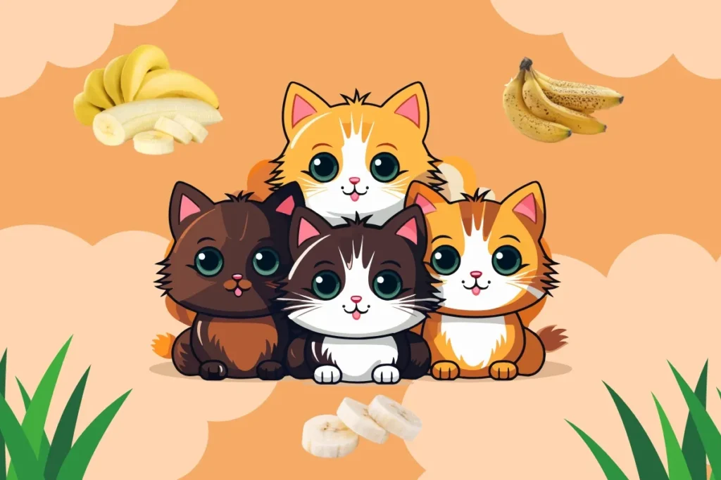 gato pode comer banana