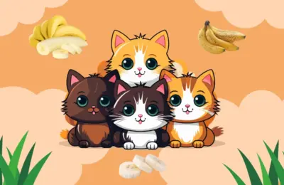 gato pode comer banana