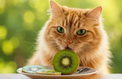 gato pode comer kiwi