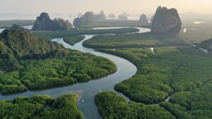 Maior Animal da Fauna Brasileira Maior Animal da Fauna Brasileira