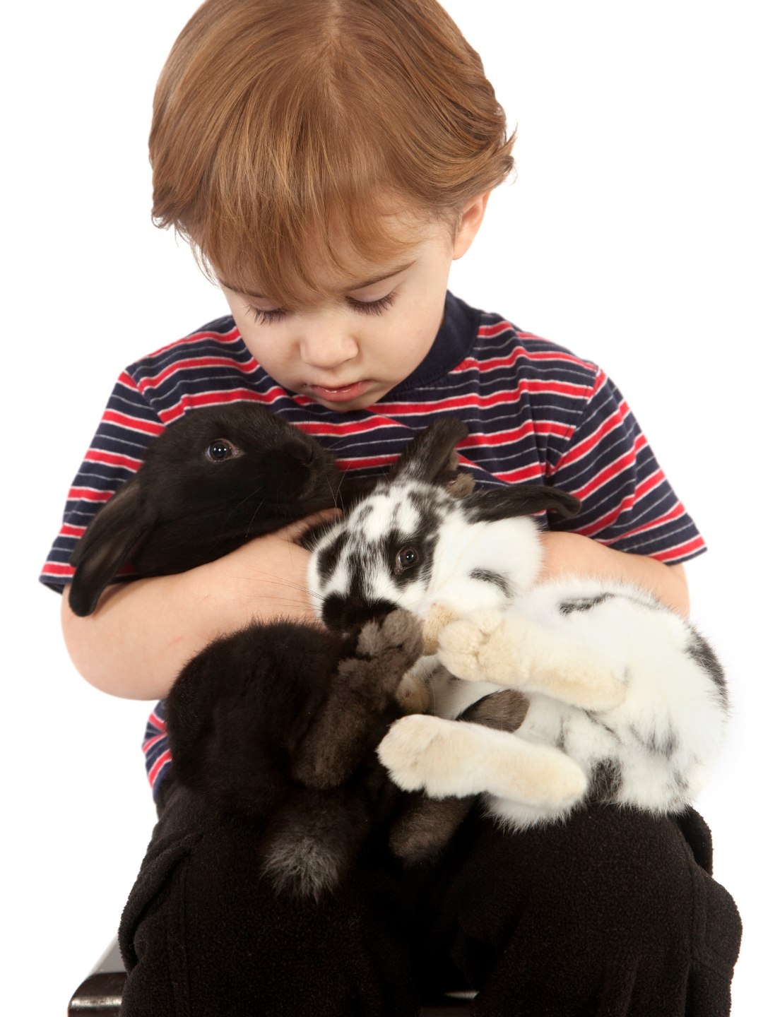 Animais de Estimação para Crianças