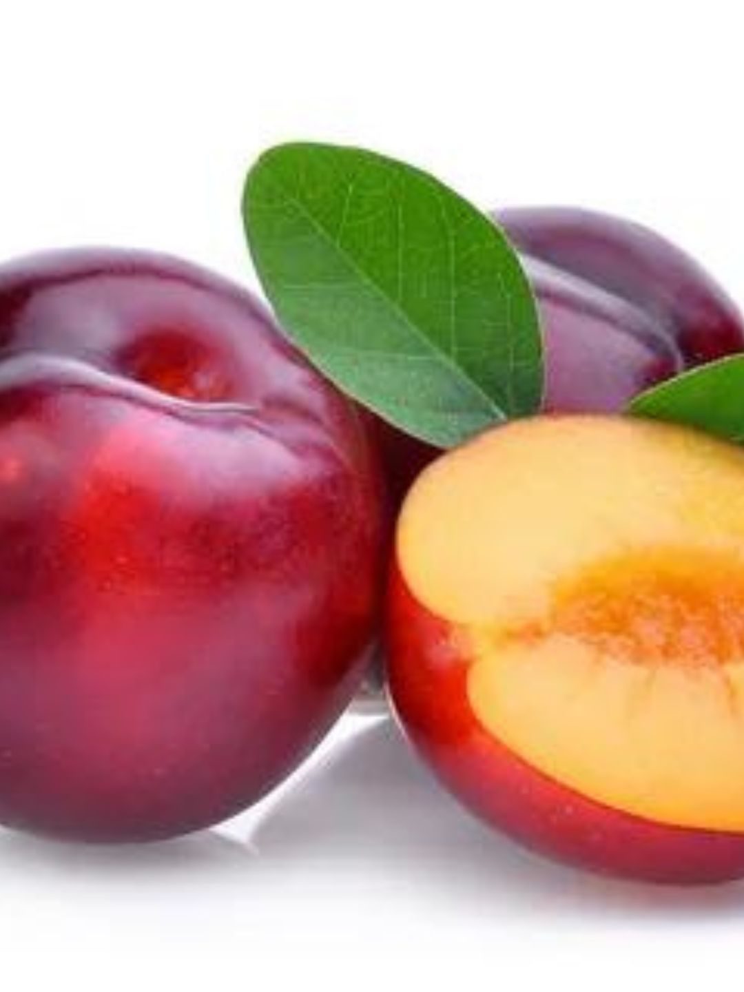 Gato Pode Comer Ameixa Uma Combinação Segura