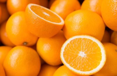 Laranja para Cachorro