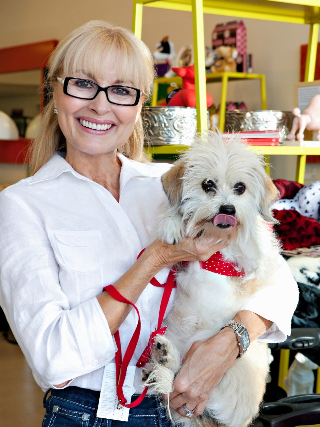 cuidados com animal de estimação doméstico