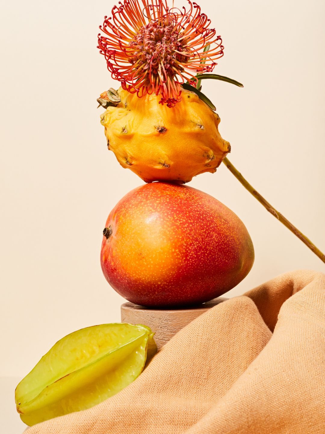 Gato Pode Comer Manga