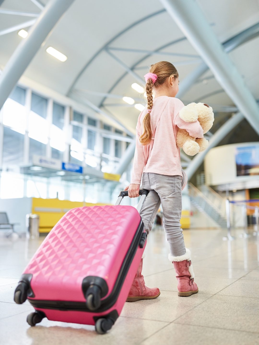 Como Levar Seu Cachorro no Avião