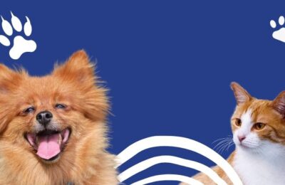 Animais de Estimação Pequenos