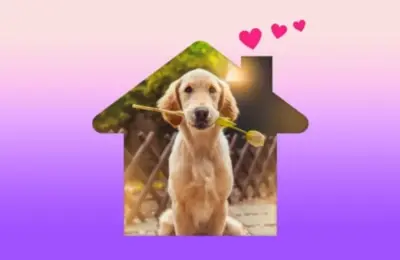 Nomes para Cachorro Fêmea