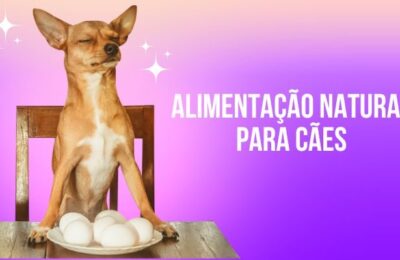 alimentação natural para cães