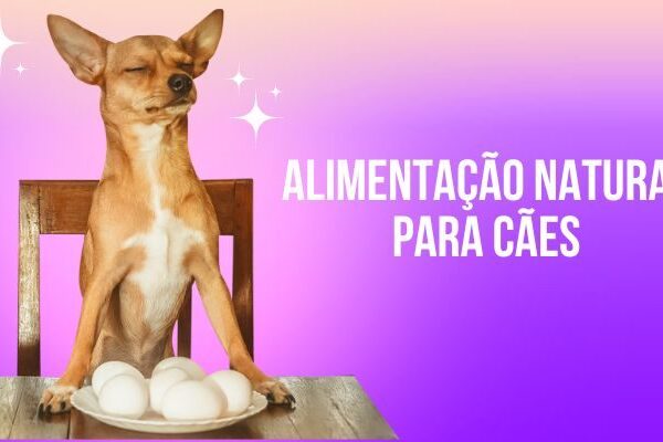 alimentação natural para cães