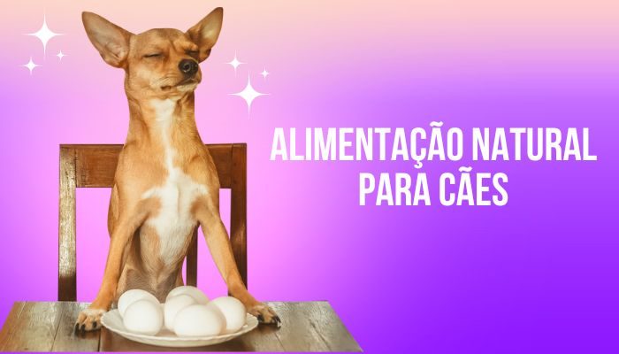 Alimentação Natural para Cães: Benefícios e Dicas Essenciais alimentação natural para cães