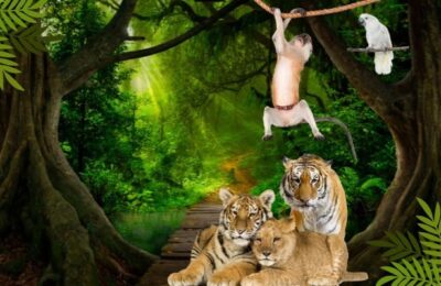 animais silvestres de estimação
