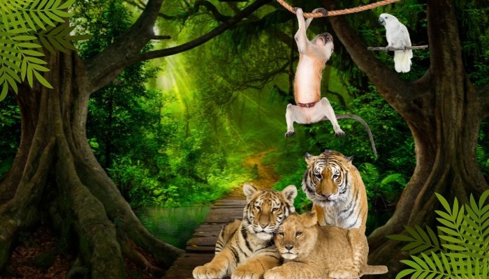 Animais Silvestres de Estimação animais silvestres de estimação