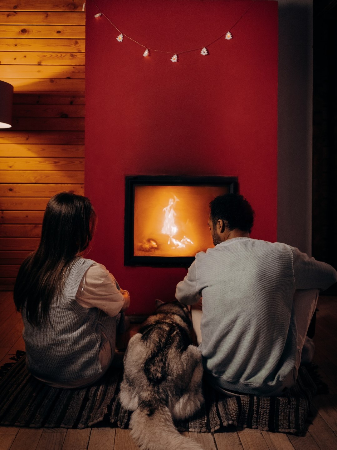 Animal de Apoio Emocional