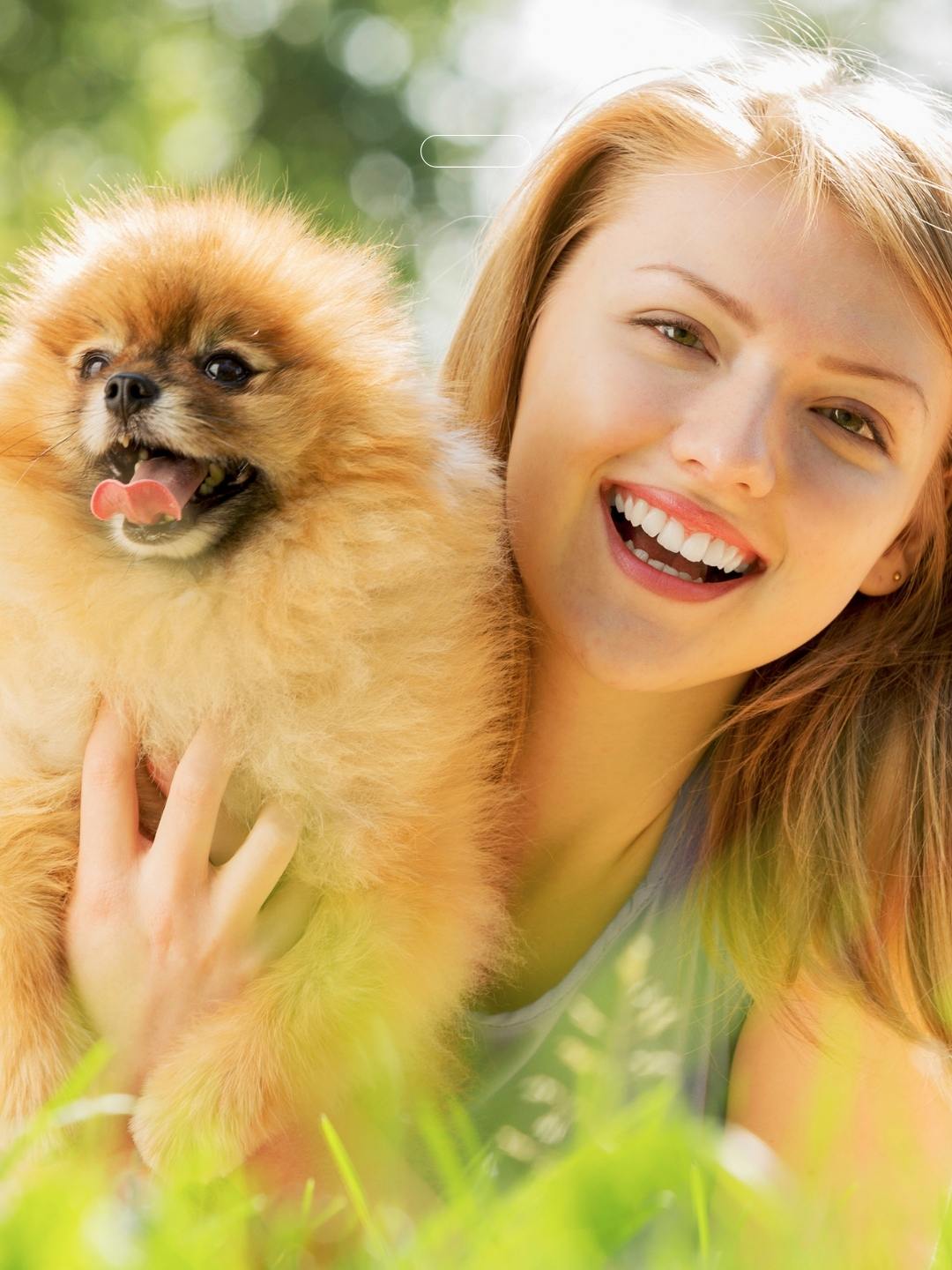 Animal de Apoio Emocional