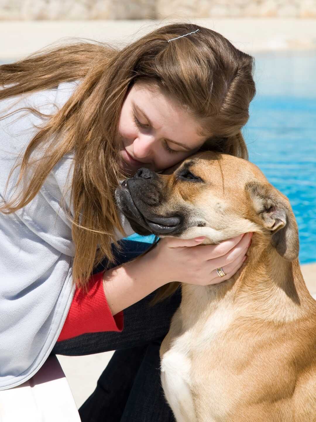 Animais de Assistência