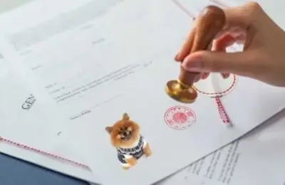 Registro de Cachorro Online
