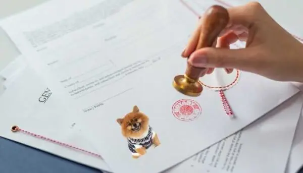 Registro de Cachorro Online