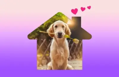 Filhote de Cachorro