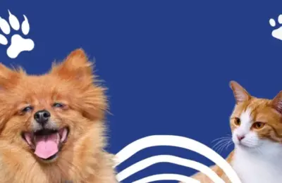 animais domesticados