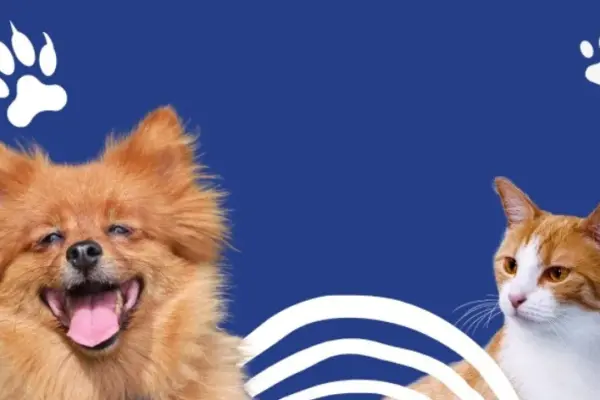 animais domesticados