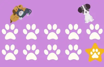 cães e gatos