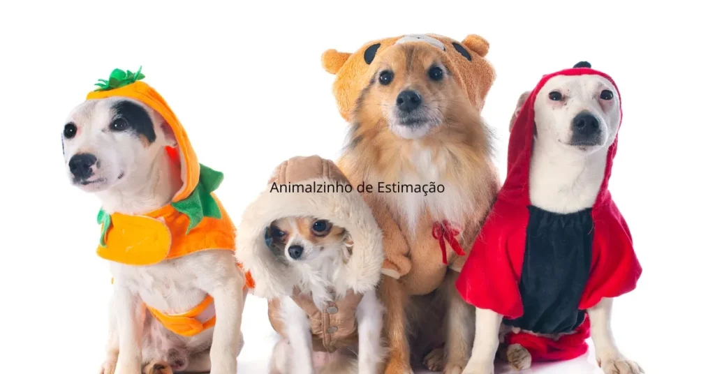 Animalzinho de Estimação