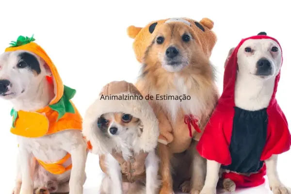 Animalzinho de Estimação