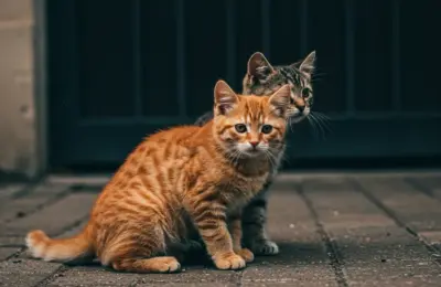 Nome de Animal