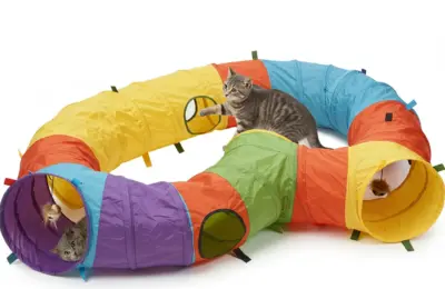 gadgets para gatos