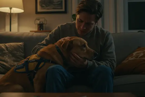 cão de apoio emocional