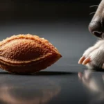 Cão Pode Comer Ameixa? Entenda os Riscos e Benefícios Dessa Fruta