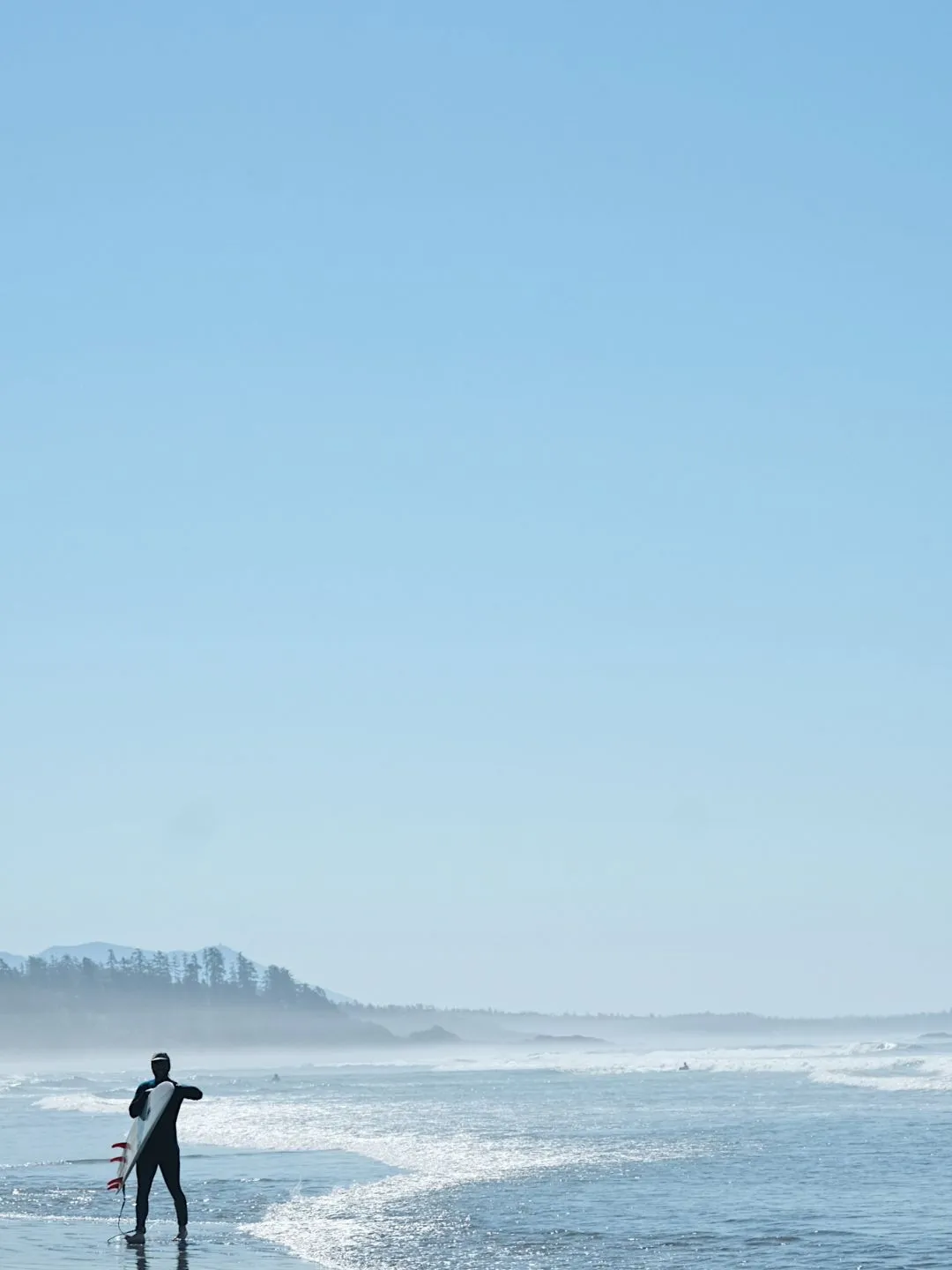 Curiosidade do cavalo marinho