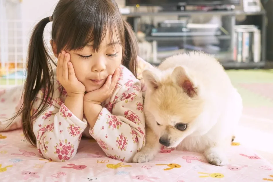 Animal de Estimação para Criança: Qual é o Ideal para Você? Animal de Estimação para Criança
