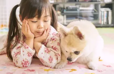 Cachorro de raça pequenininha