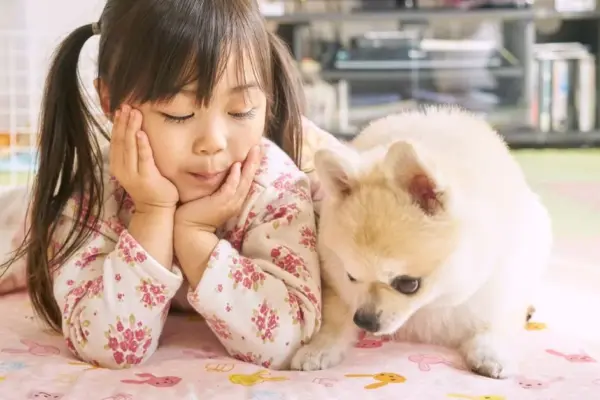 Cachorro de raça pequenininha