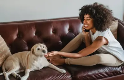 Side view of young cheerful African American female conversing on cellphone while caressing dog on leather couch at home