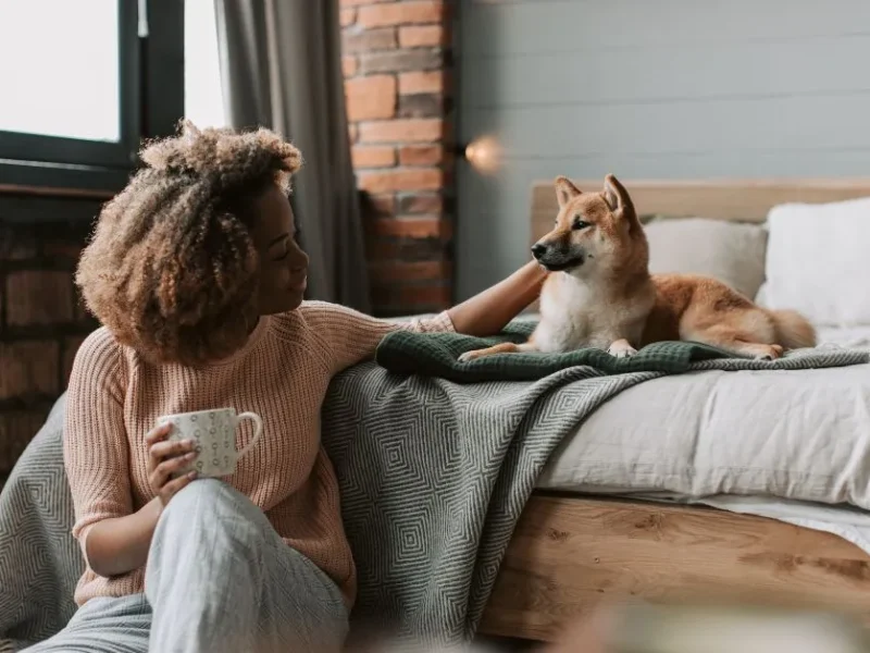 Pet de apoio emocional Descubra como um transforma vidas!