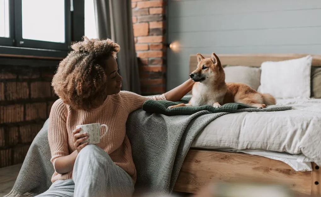 pet de apoio emocional